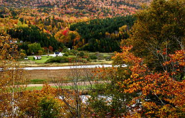 Margaree Valley in autumn