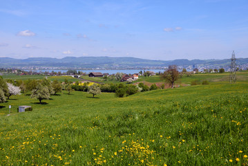 Fototapeta na wymiar Landschaft am Zugersee bei Meierskappel