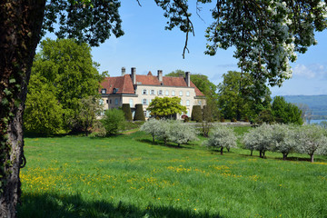 Fototapeta na wymiar Schloss Freudenberg bei Rotkreuz, Kanton Zug