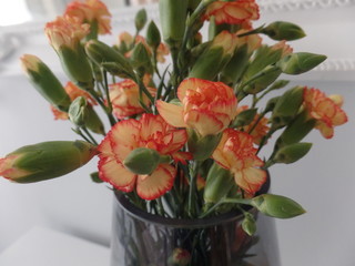 Fototapeta na wymiar Bouquet of orange spray carnations in a glass vase