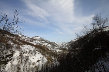a snowy day outside the city