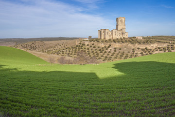 Fototapeta na wymiar Belalcazar Castle, Cordoba, Spain