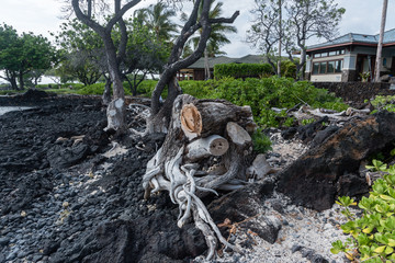 Beautiful Kohala coast vista on the Big Island of Hawaii