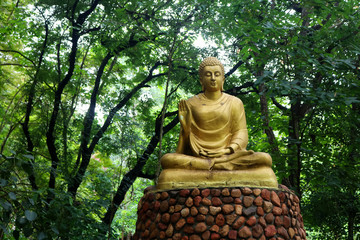 Buddha statue in the green forest background.