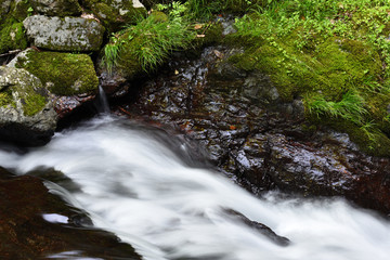 Obraz premium 渓流