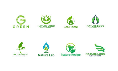 Set of Nature Logo designs concept vector, Bird Logo, Water Drop logo
