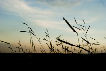 Obraz premium Pôr do Sol