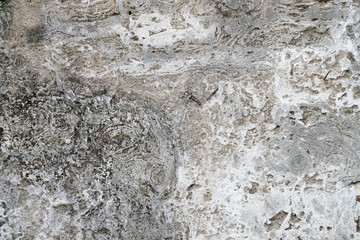 Grey grunge texture cement wall. copy space