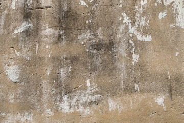 Grey grunge texture cement wall. copy space