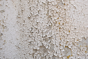 Grey grunge texture cement wall. copy space