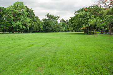 Beautiful landscape view of tropical green grass meadow field and trees in public park.