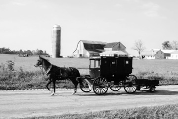 amish