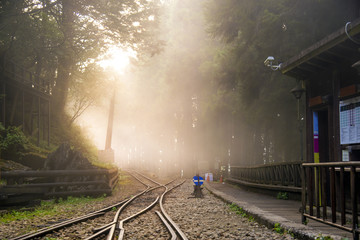 A drift of fog in front of the forest-railroad in early sunset time.