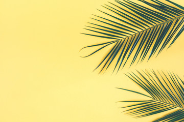 Fototapeta na wymiar Tropical palm leaves on yellow background. Summer concept. Flat lay, top view, copy space, close up