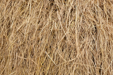 pile of straw background