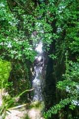 Forest river flowing between two high rocks with green plants in Georgia.  Okatse canyon