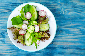 Fresh vegetables with radish, cucumber
