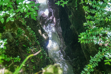 Forest river flowing between two high rocks with green plants in Georgia.  Okatse canyon