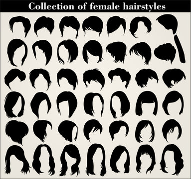 Collection of female haircuts and hairstyles on a white background