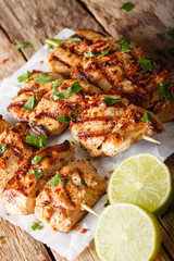 Kebab e Murgh - Chicken Kabab Marinated in a Yogurt Cumin Sauce closeup. Vertical