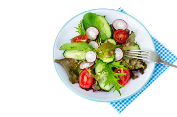 Fresh vegetables with radish, cucumber