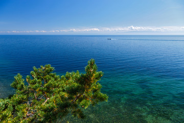 Transparent Baikal lake with a boat and a pine tree