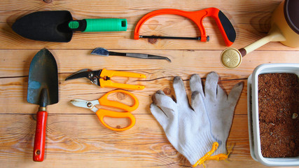 Gardening tools, watering can, pot with soil, scissors and gloves on vintage wooden table. © 0829kt