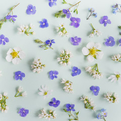 Creative flat layout pattern of wildflowers,  top view.