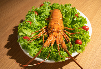 Lobster garnished with salad