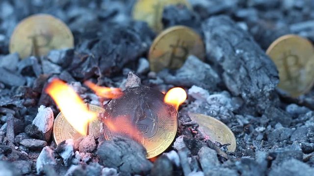 Burnt coins in the ash. Bitcoin burned. Miners should show proof that they burned some coins - that is, sent them to a verifiably unspendable address