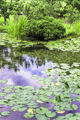 The sky reflected in the still waters of the pond