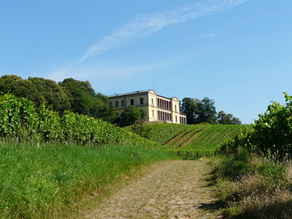 Fototapeta na wymiar Schloss Villa Ludwigshöhe in Edenkoben / Pfalz