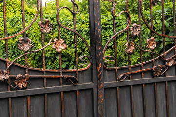 Metal gates decorated with forged elements