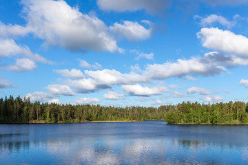 blue and green color of summer