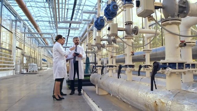 Zoom in shot of middle aged woman showing plants and equipment of industrial greenhouse to men in lab coats
