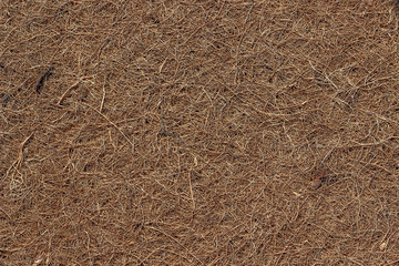 Fototapeta na wymiar Surface of a mattress made dry pressed coconut fiber. Background, texture.