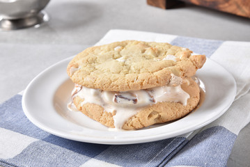 Homemade ice cream sandwich