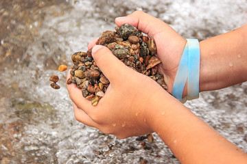 Fototapeta na wymiar Pebbles in hands of children over water