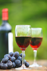 Two glasses Red Wine with wine bottle and fresh grapes on wooden table, defocused green outdoors background 2
