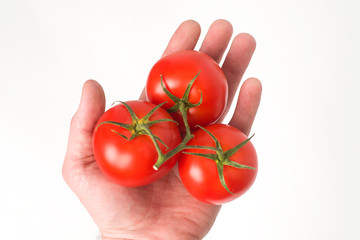 tomato white background - 208465548