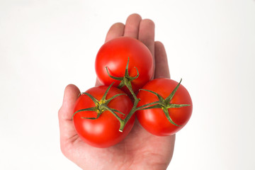 tomato white background - 208465553