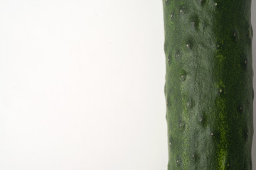 cucumber white background