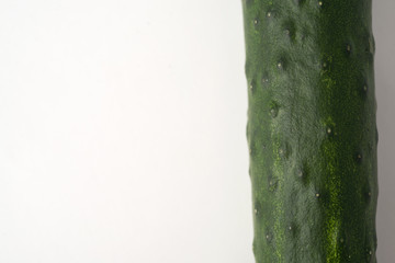 cucumber white background