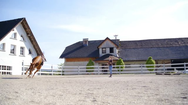 Horse on lunge line doing funny poses in slow motion 4K. Wide shot of woman and horse in focus inside the riding arena. Horse jumping like crazy. Sunny day.