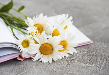 Fototapeta na wymiar Notebook with chamomile flowers