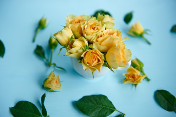 yellow rose in a cup on a blue background