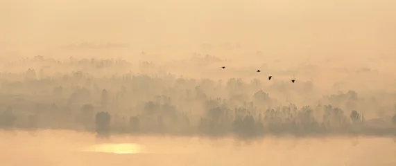 Panoramablick auf die herbstliche Nebellandschaft. Morgenlicht und Nebel erzeugen einen Aquarelleffekt. © stone36