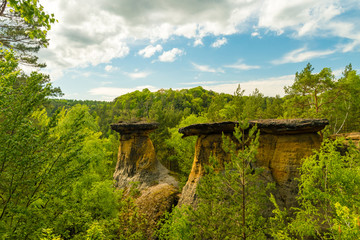 Poklicky sandstone rocks, Kokorinsko, Machuv kraj, Protected Landscape Area, Czech republic