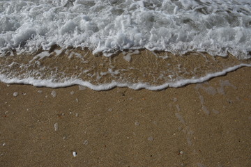 Waves Splash on a Brown Sandy Beach