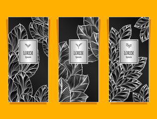 Set Template for package or flyer from Luxury background made by foil leaves in silver black for cosmetic or perfume or for package of tea or for alcohol label or for brand book